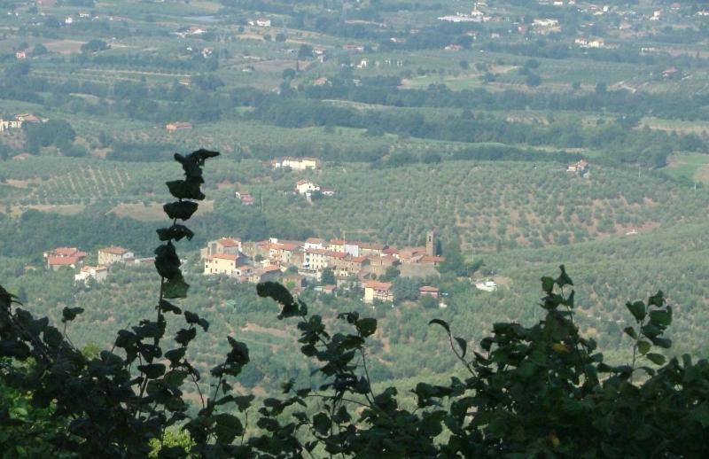 Podere Calistri Larciano Extérieur photo